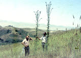 Select an image to enlarge