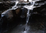 Select an image to enlarge