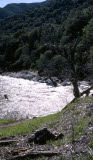 Select an image to enlarge