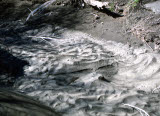 Select an image to enlarge