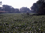 Select an image to enlarge