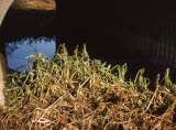Select an image to enlarge