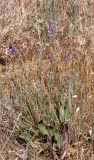 Select an image to enlarge