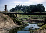 Select an image to enlarge