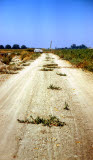 Select an image to enlarge