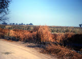 Select an image to enlarge