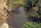 Select an image to enlarge