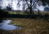 Select an image to enlarge