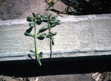 Select an image to enlarge