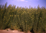 Select an image to enlarge
