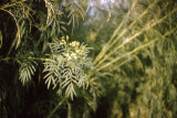 Select an image to enlarge