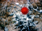 Select an image to enlarge