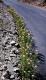 Select an image to enlarge
