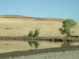 Select an image to enlarge