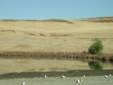 Select an image to enlarge