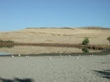 Select an image to enlarge