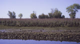Select an image to enlarge