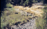 Select an image to enlarge