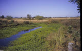 Select an image to enlarge