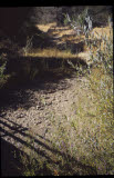 Select an image to enlarge