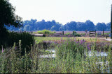 Select an image to enlarge