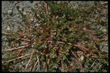 Select an image to enlarge