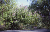 Select an image to enlarge