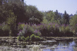 Select an image to enlarge