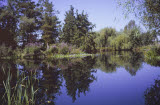Select an image to enlarge