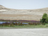 Select an image to enlarge