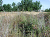 Select an image to enlarge