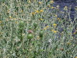 Select an image to enlarge