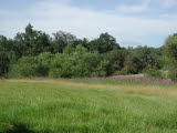 Select an image to enlarge