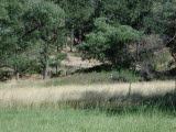 Select an image to enlarge