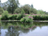 Select an image to enlarge