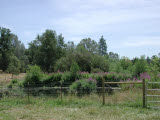 Select an image to enlarge
