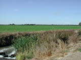Select an image to enlarge