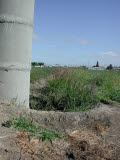 Select an image to enlarge