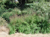 Select an image to enlarge