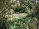 Select an image to enlarge