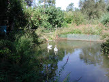 Select an image to enlarge