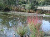 Select an image to enlarge