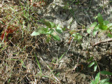 Select an image to enlarge