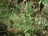 Select an image to enlarge