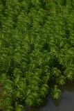 Select an image to enlarge