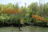 Select an image to enlarge