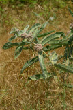 Select an image to enlarge
