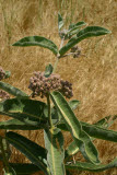 Select an image to enlarge