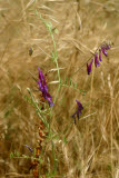 Select an image to enlarge