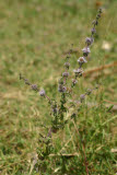 Select an image to enlarge